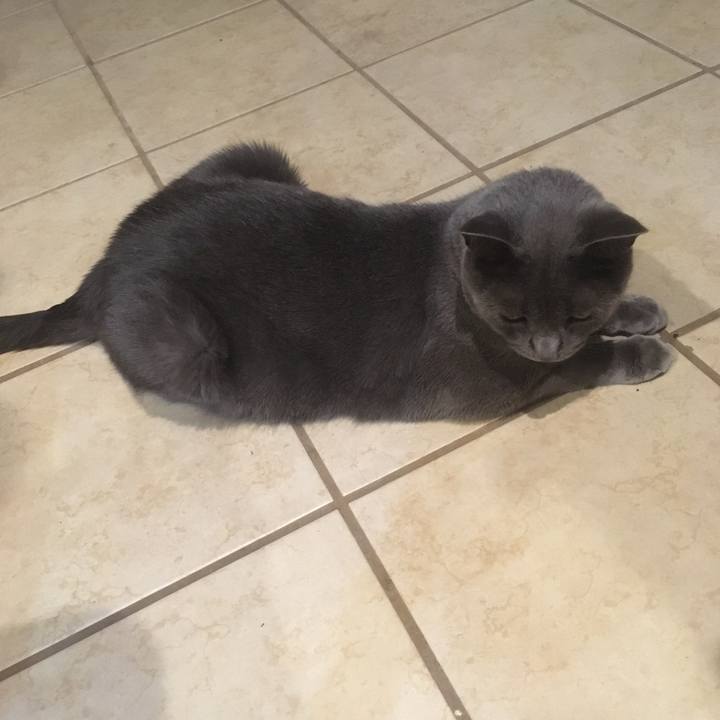 036ab1b3 ed64 4090 81b5 f10ffafa6c78 1660090854556