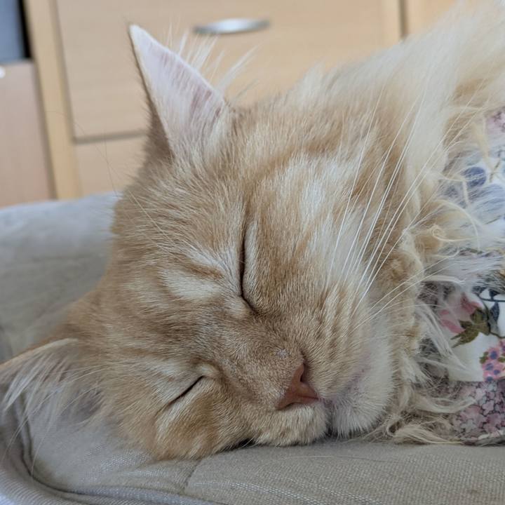 036ab897 9092 46a5 a4fd 10c77f1bb1a3 1751503946864