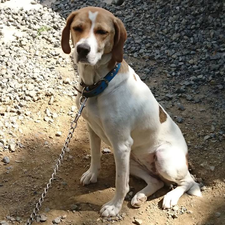 036ac633 c14c 4a98 afeb d8f716eec119 1562594140204