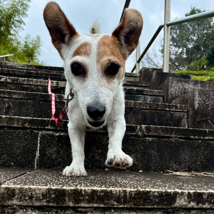 036acdc0 0e63 472a bb44 6b9a11923780 1768135502996