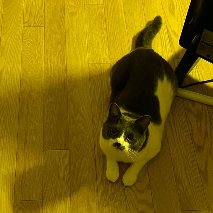 036ad162 5ef6 4743 b4a7 2f5516393ddd 1656088181075