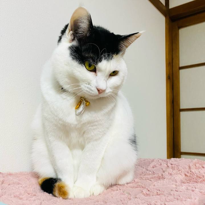 036ade11 fcc7 4a36 9e8a 2906918c1aa1 1705639255222