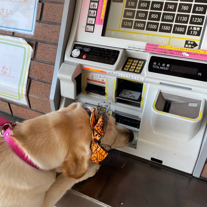 036b450f 22d6 4517 9a42 89e315a4a381 1633417396956