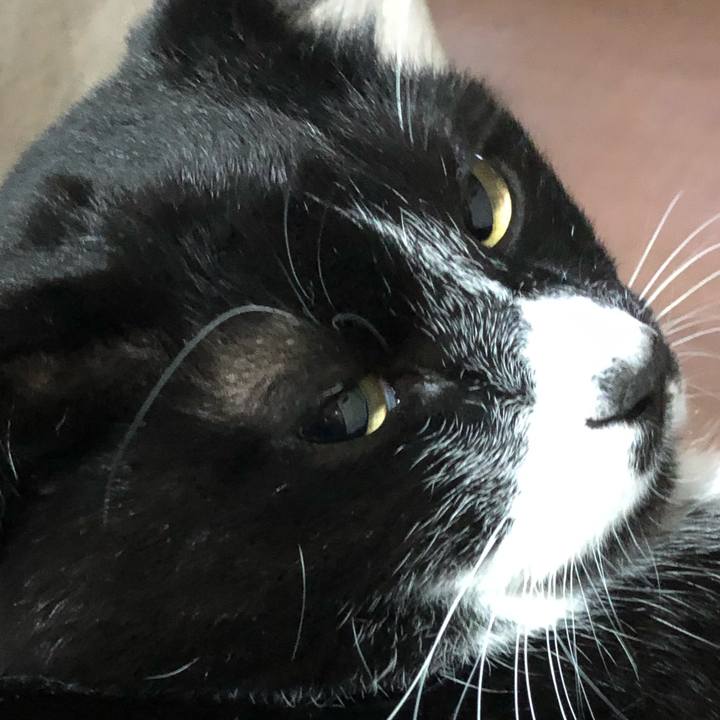 036b6ed6 3e6b 4a3b ab6b 1c3e662c6f1d 1617420834396