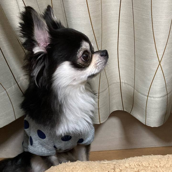 036c11a0 2991 49cc 8839 39d5218c0767 1653144198164