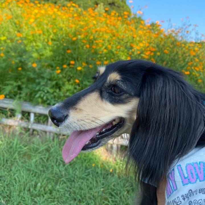 036c4b17 a692 433a 96de 4fde75005f78 1756252100925