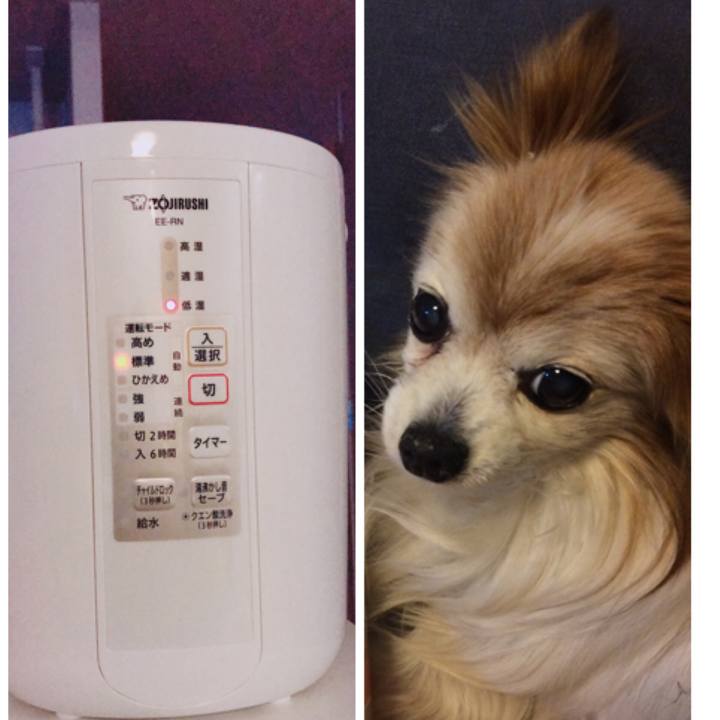 036c7f85 7f91 4864 8555 ff3afd0af7b1 1542577682561