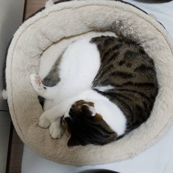 036cb345 4aa9 4573 8a49 988625478c18 1586986976907