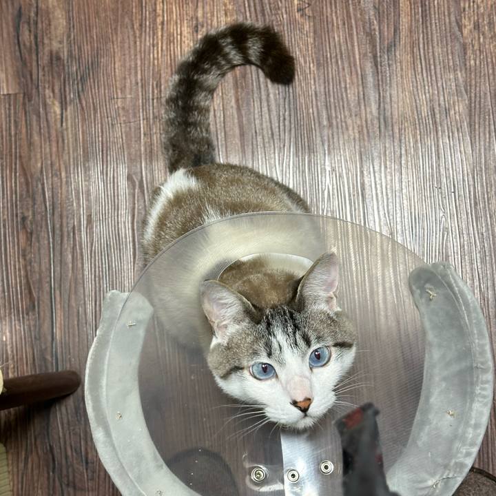 036cf387 d4dd 47d2 9247 7d162e509260 1717147583808