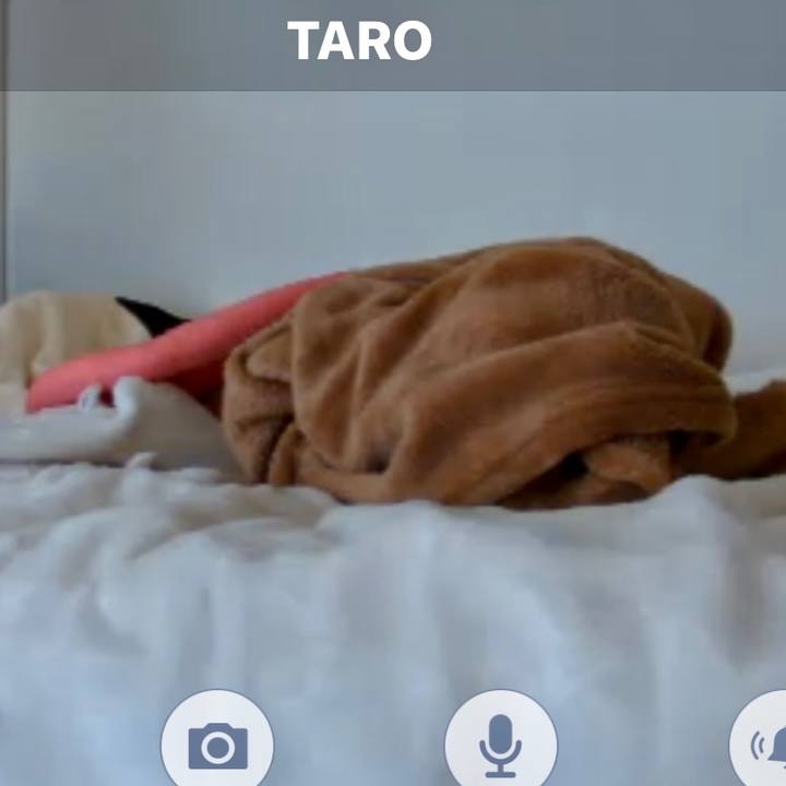 036d5013 cc08 462a 8686 fb14c161f497 1637731110095