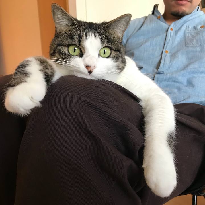 036d57fa b4ac 483f bcdb 2bd870b1ea45 1511785336055