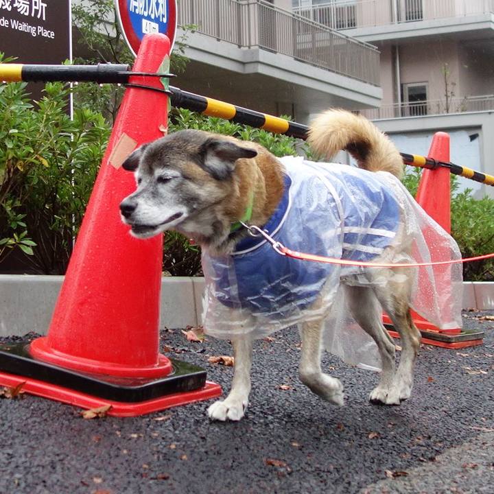 036d61fb eb29 4ad4 80ab bec4aea2e47f 1572308859400