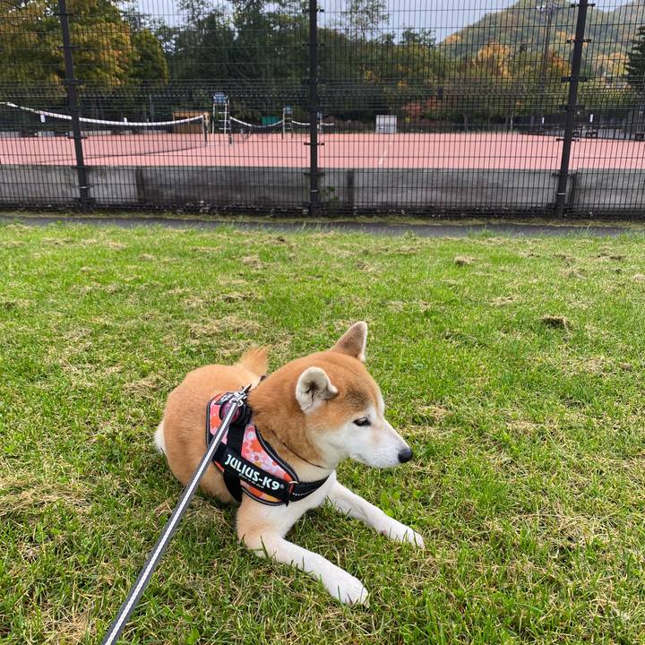 036d6cad 2d1f 4f7a b09c 145d7d07fb68 1602548527941