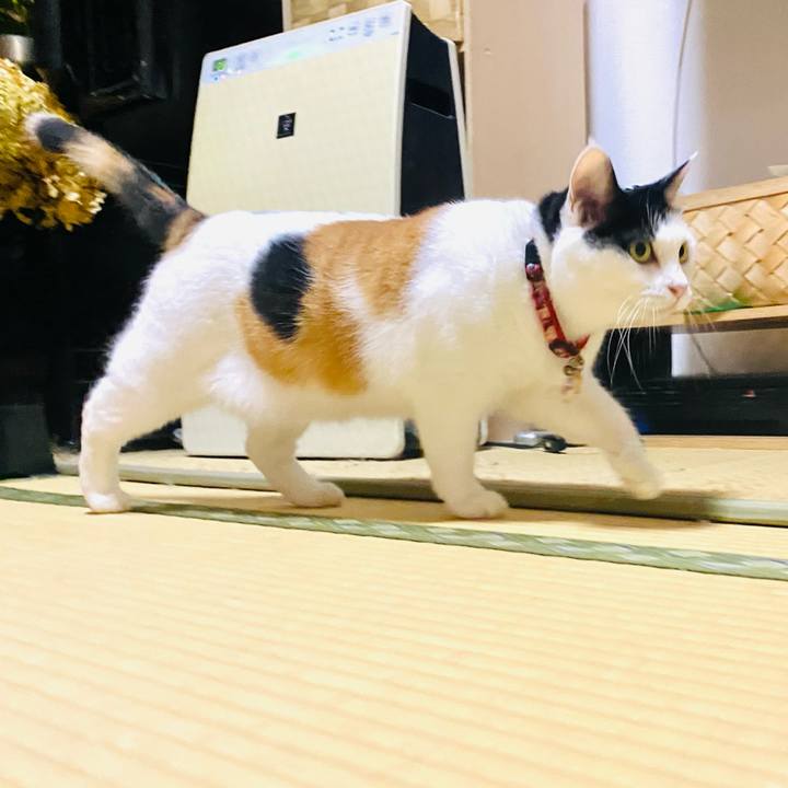 036d7ce8 cae9 4abb b049 5f829cccdf30 1725399085605