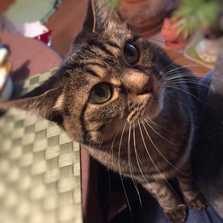 036d9569 9293 4877 8b7a 127ab8fbc297 1760565858351