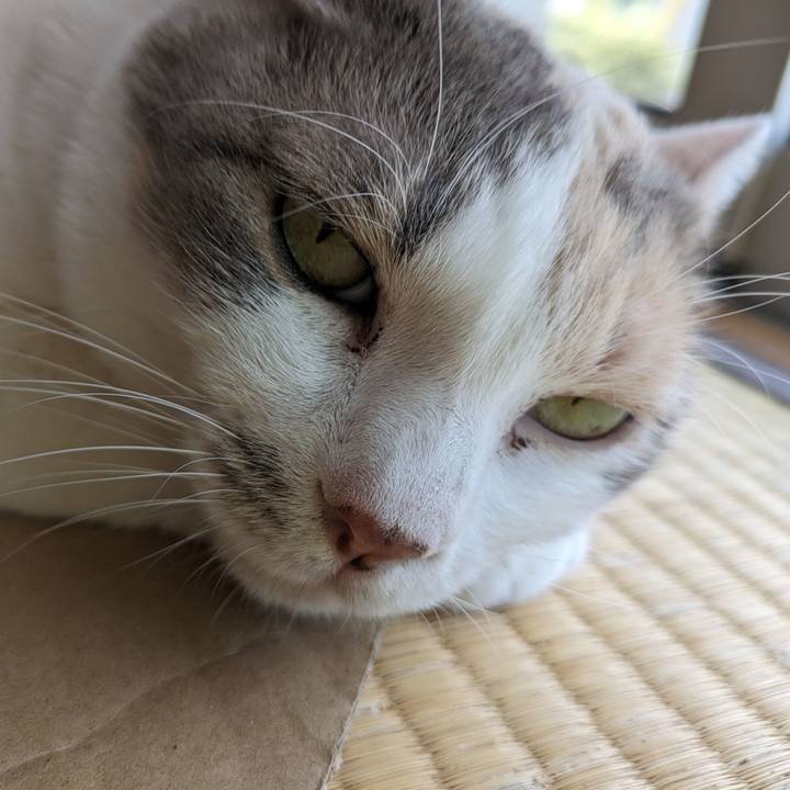 036d9fdb 2495 432b bc62 d11318cec6d1 1698118621607