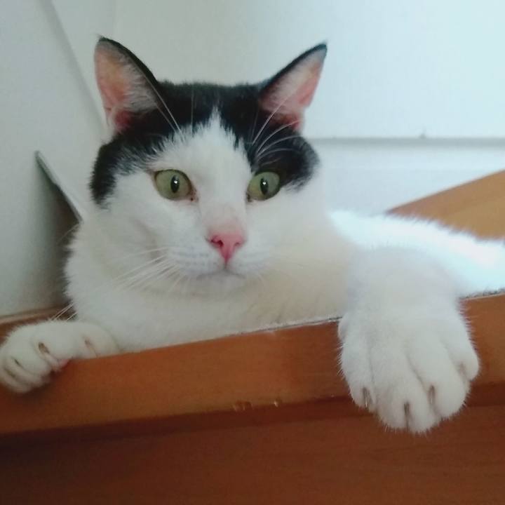 036da366 4ea8 4d01 9f08 122dc032e191 1568475962364