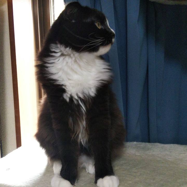 036e34b0 ace8 4656 bb8c 6ea234f693c1 1646621677107