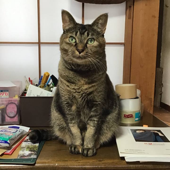 036e3b1e 52ce 4cd0 ada6 ff935194f096 1760325567586