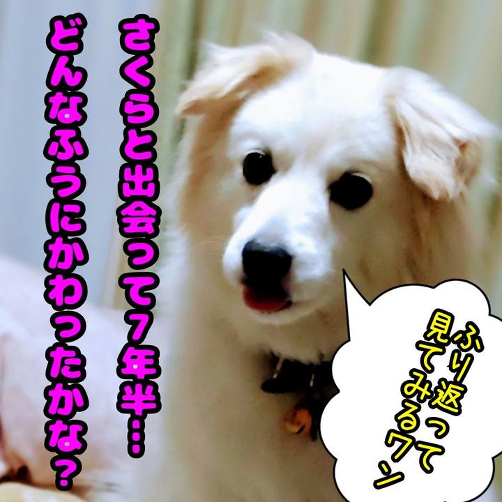 036e45b5 aca5 4d08 85f3 5b391f757a30 1649934069319