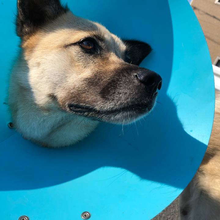 036e4bc2 a8f8 4ce2 b8c9 e416fe001458 1532518050207