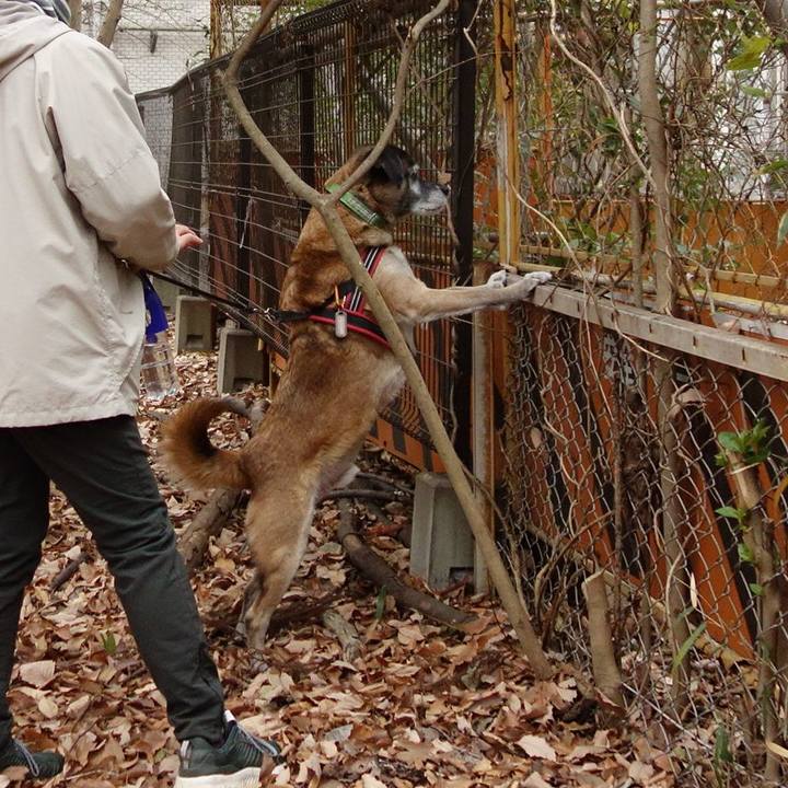 036e543c 7083 48cd bdc4 25f8a6d0469b 1623458226442