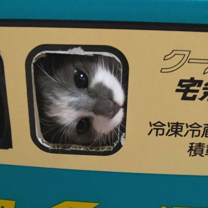 036e7cb2 a31b 472f 8a03 d8a66a499306 1571455329532