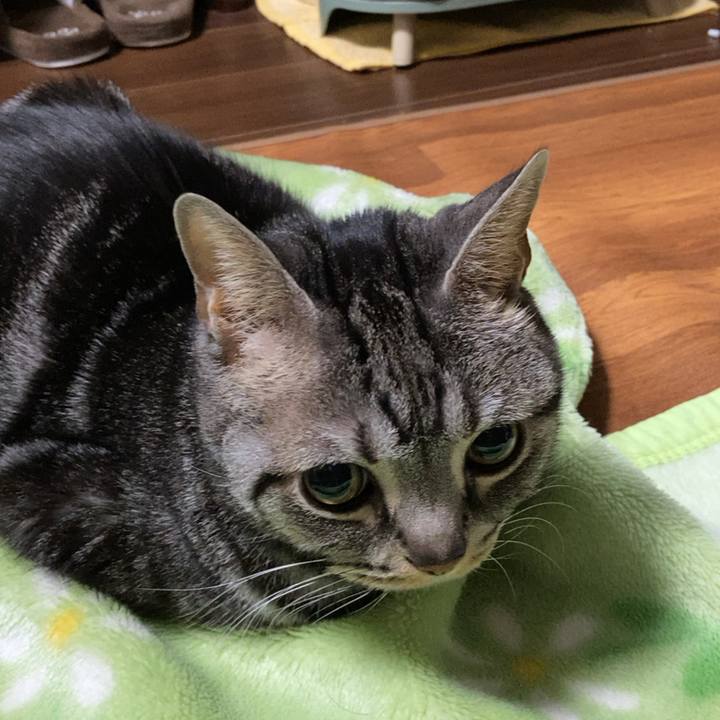 036e803c 38ca 47d8 8cb7 6abcafe0e10b 1674768527345