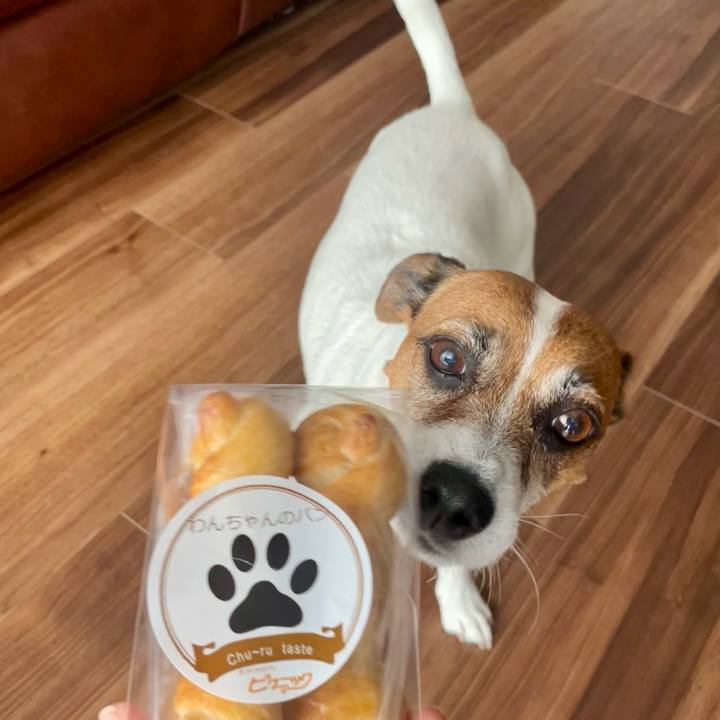 036ea08e 5e57 4e36 84e1 c423519eb68d 1747460271489