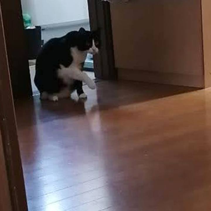 036eadac d6a6 4ffd 96bc be5fbf4450a7 1731739173744