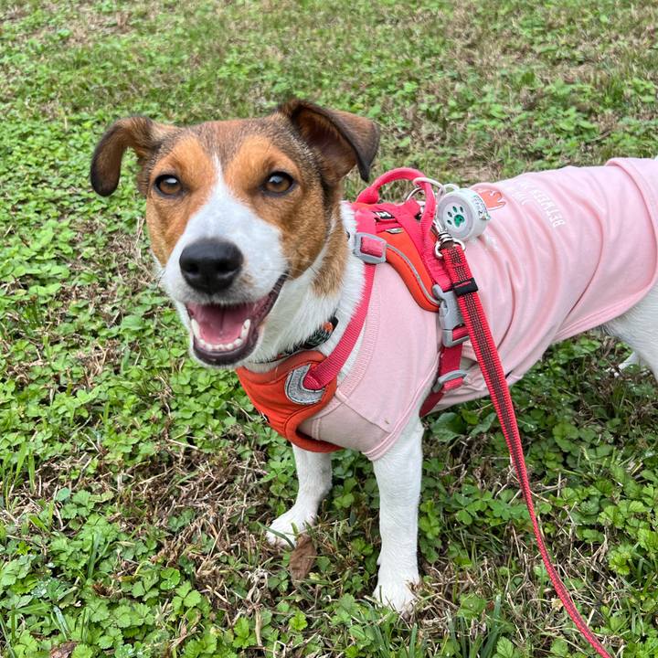 036eb533 43e6 4cdb 8d87 e4b9fe5b7f40 1760247833960