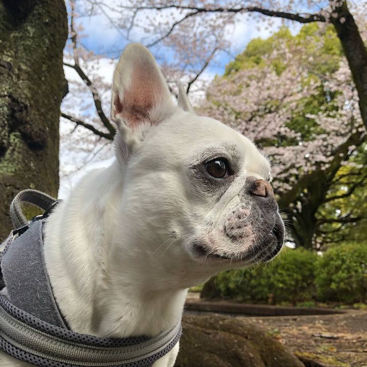 036ebb92 5ddf 40e7 96ee f54db0f5f2c7 1648353393326