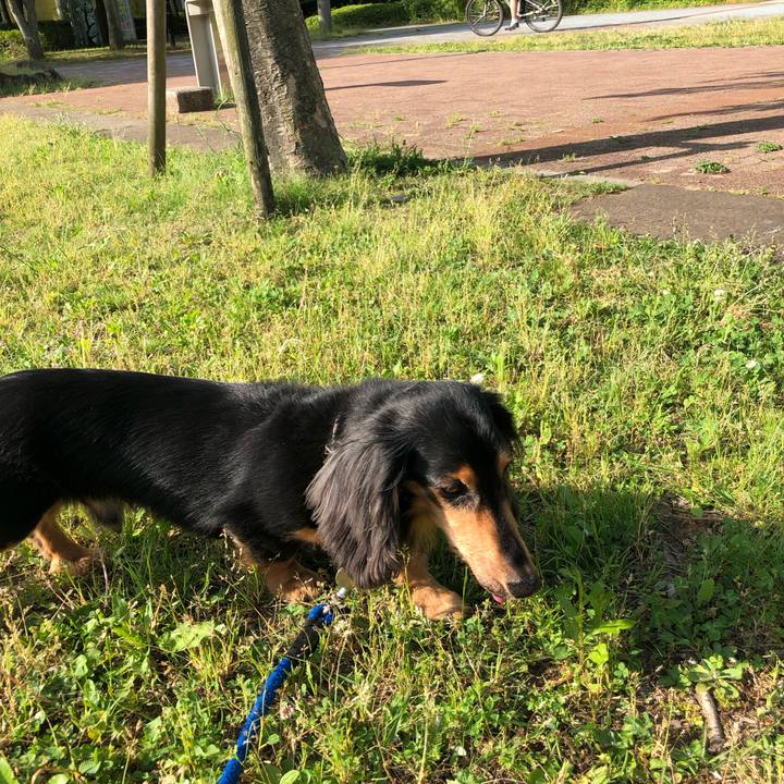 036eedc7 54bd 4e46 a54c 266303d795de 1558133145850