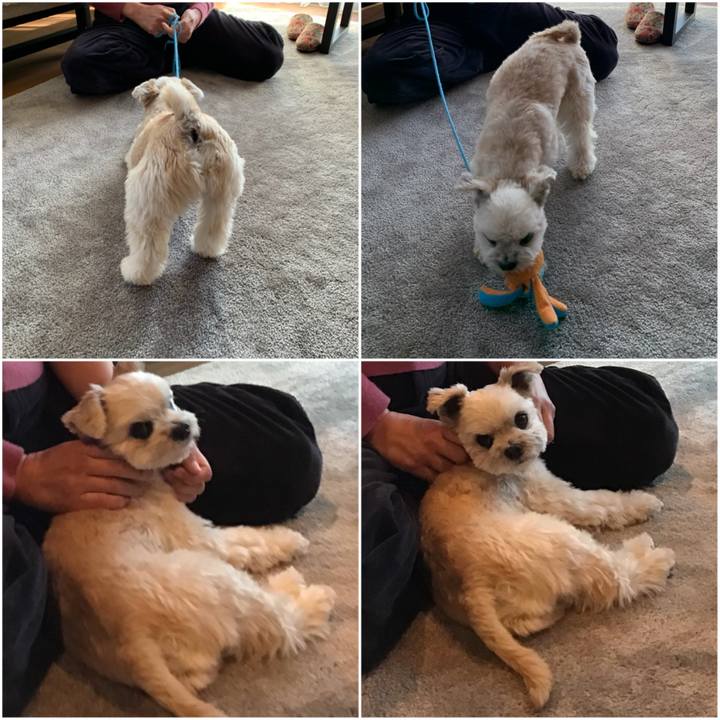 036ef1da 7f89 4419 9253 5b3e63fe2963 1613559596762