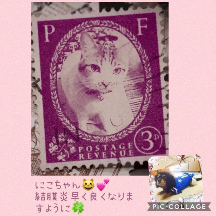 036f72b7 9f8a 4c51 b1c9 365d3f16e140 1549618867419