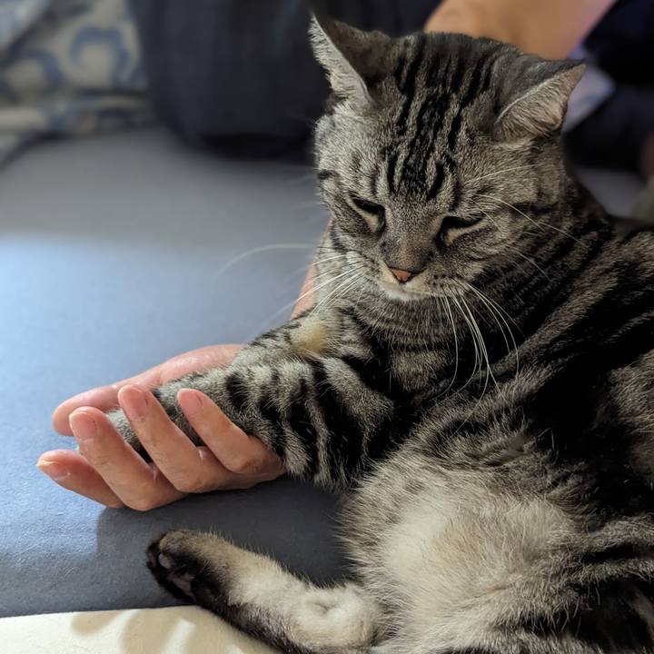 036fb05f 6c73 4f09 bdcc c6d7e45523d8 1689478183730