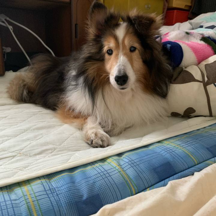 036fc411 41c8 47e7 96b2 87e602f1758e 1588416288866