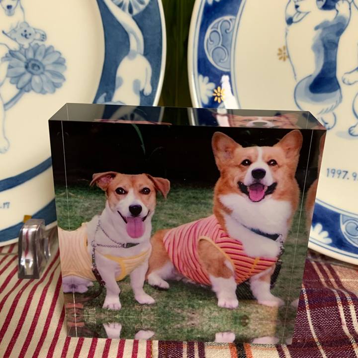 036ffb33 a223 4220 8d09 5cae8d3e0d18 1586433100992