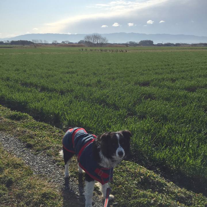 03700523 6ded 47b9 96b2 e0112d9bdbcd 1549758849870