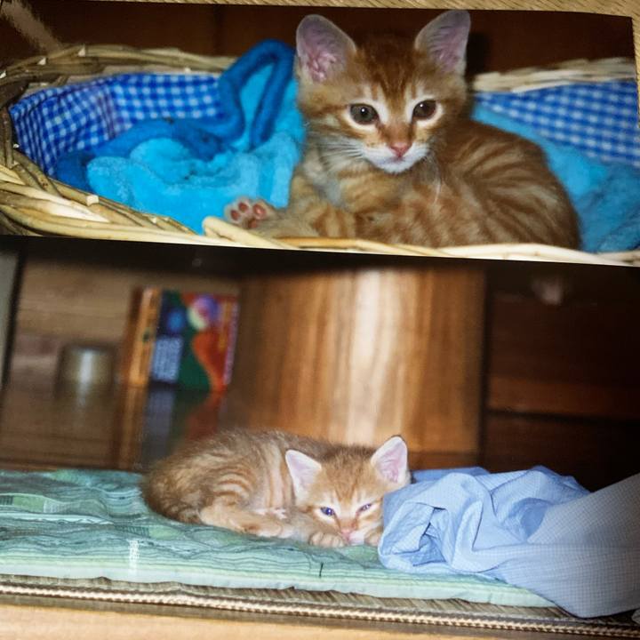 037026fc 011d 470e bbdd 7054c302e57c 1619416111826