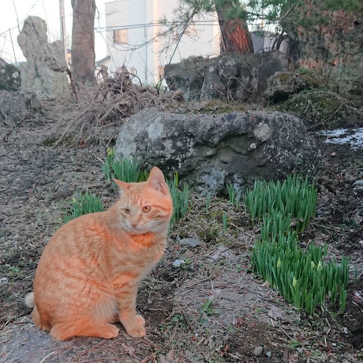 03704cb1 6b5f 4189 83d7 7d602f0cef3a 1649495845876