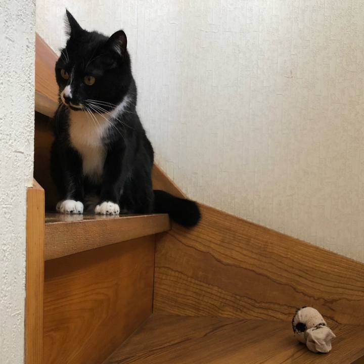 037054c3 5021 4b7d 98a8 06b50967b8b8 1589944850527