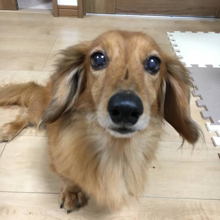 03706ed3 0cde 4c3b a96a 353a048e7363 1541599801025