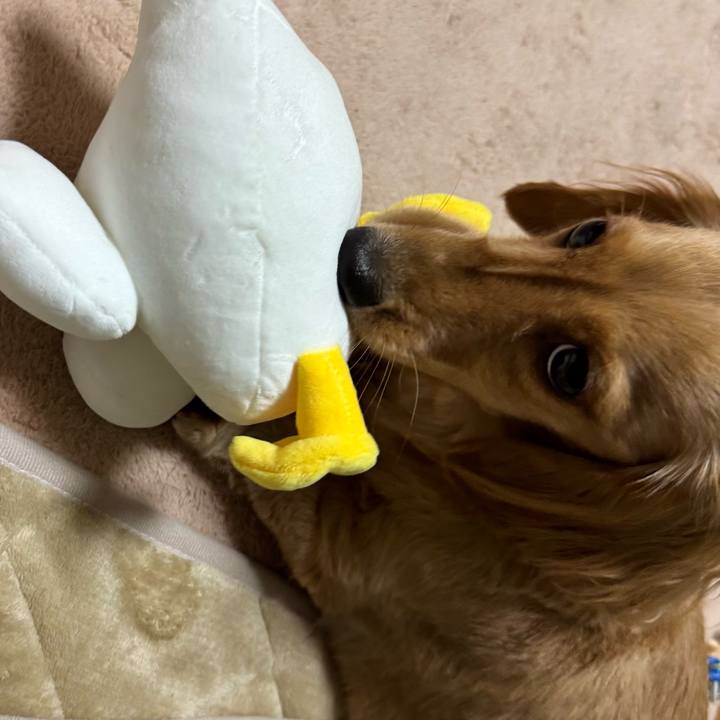 0370d124 2c89 4bc7 8805 682bdcf7f529 1736672772604