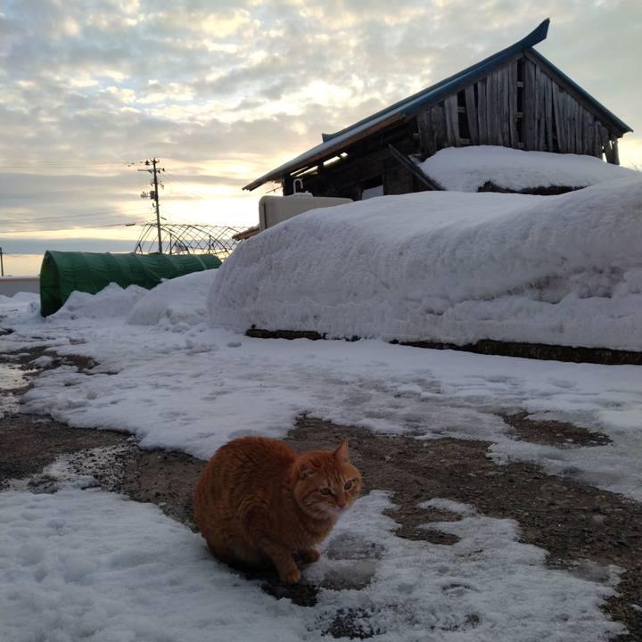 03710596 f879 41d7 a1a8 b4a673edfe0f 1675636625116