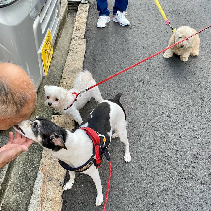 037119ef 17e9 4741 9dbe 6a5cc961bdd0 1632264986651