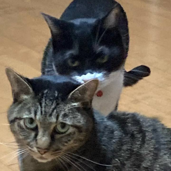 03713748 7b6a 44d2 bcba 32fd1aade83a 1666786083548