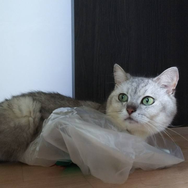 03714464 eb70 432f 9779 24caeaa34e43 1535766152429