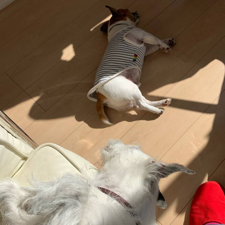 03715827 e2b0 40a7 bd63 ff5c58d3a632 1604460138716