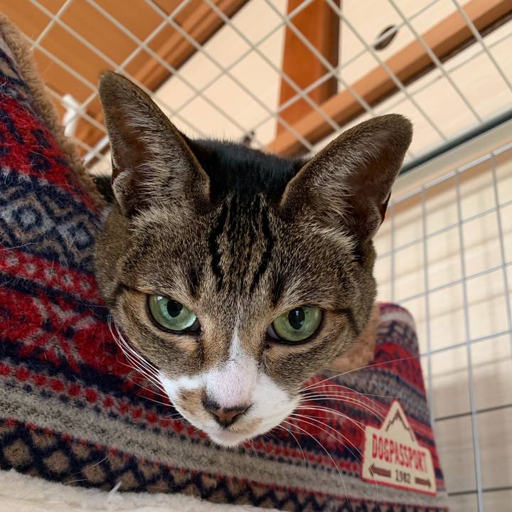 03715c42 eca3 448d a5a1 1c70ff18ed55 1545613488421